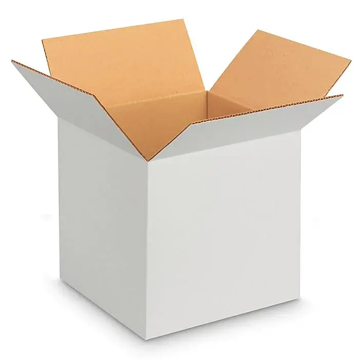 Kraft & Duplex Boxes